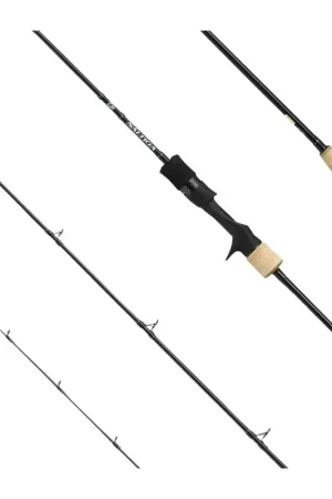 Spedizione Espresso Canna Daiwa Saltiga Slow Jigging