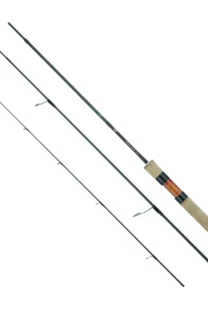 Acquista Ora Canna Spinning Daiwa Silver Creek