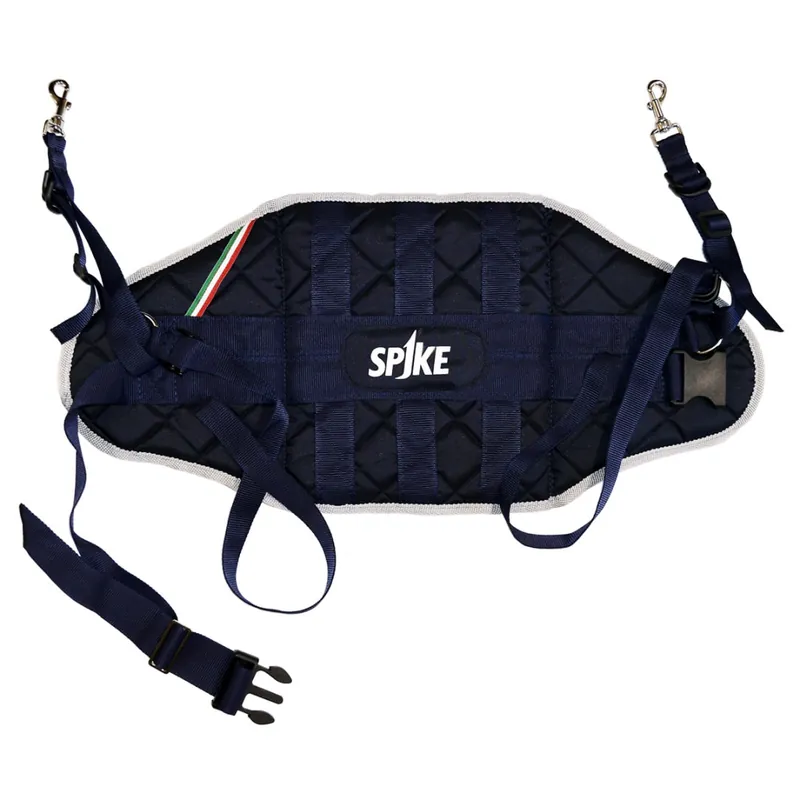 Offerta SPIKE RENALE FASCIA MAXI