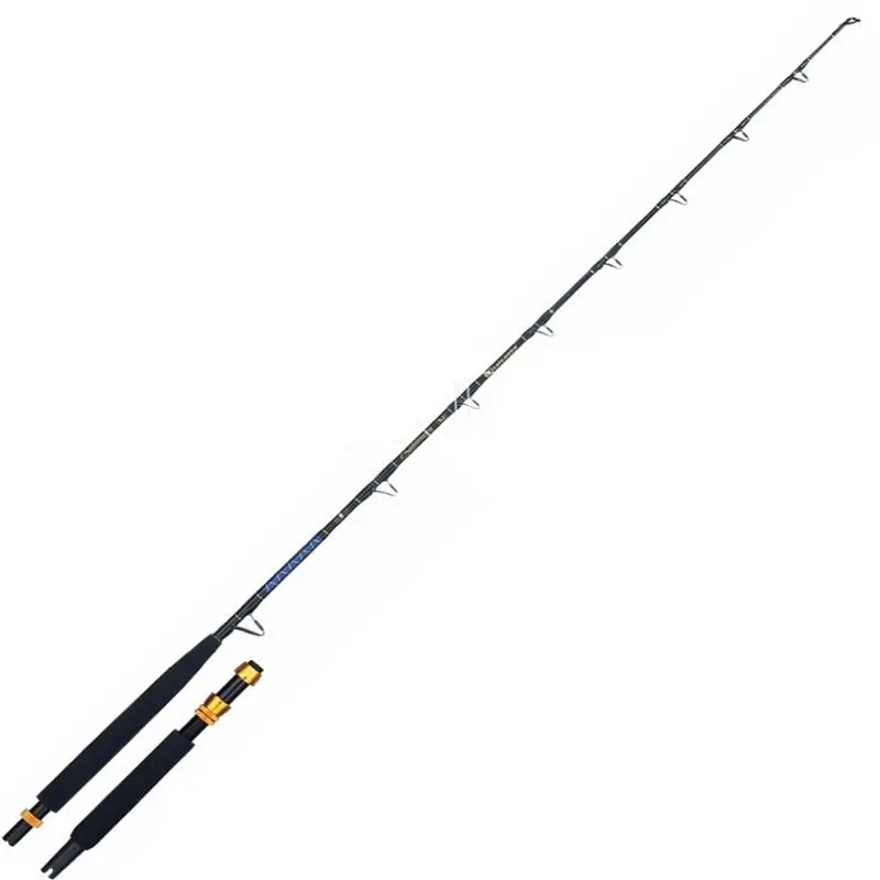 ITALCANNA BALTIMORA 2 12/20 LB Offerta