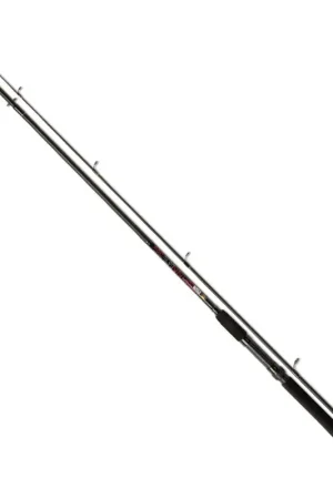 A Buon Prezzo Canna Spinning Lineaeffe Vigor Spinn 2.40 mt 30 gr
