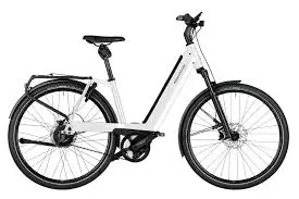 Compra Oggi Stesso Riese & Muller Nevo4 GT Touring