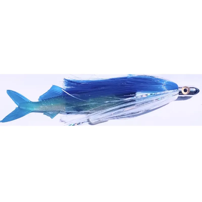 Esclusivo ILANDER FLASH BALLYHOO