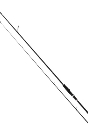 Affare Canna Spinning Major Craft Ceana FW