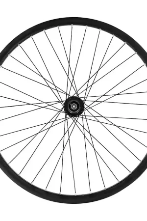 Non Perdere Ruota Posteriore 29" MTB Freni a Disco Mozzo su Cuscinetti 9/10V