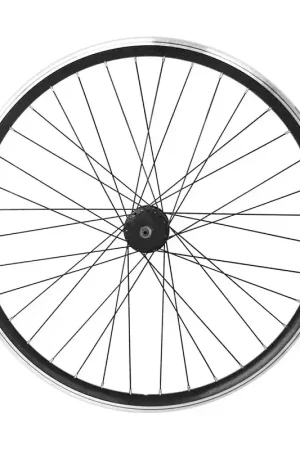 Prezzo Conveniente Ruota Posteriore 20" in Alluminio Nero - Doppia Camera per Dado 7V